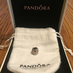 Authentic Pandora charm