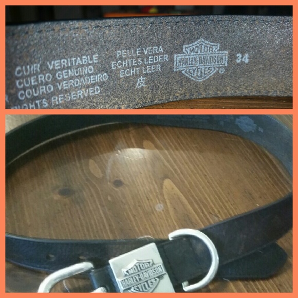 Harley davidson Belt.