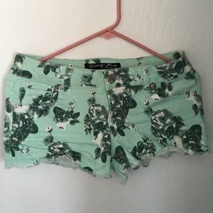 Mint aqua celebrity pink shorts