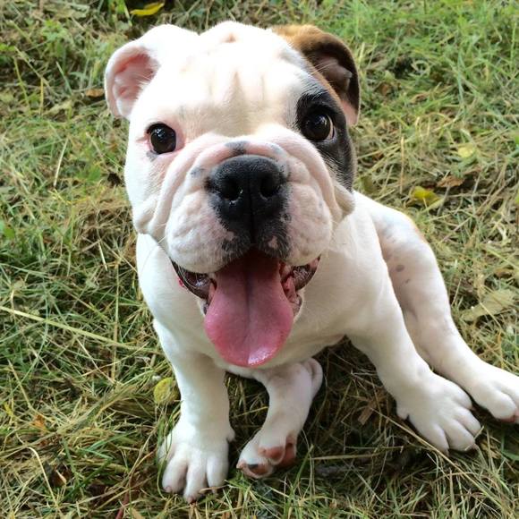 Meet your Posher, Natalie