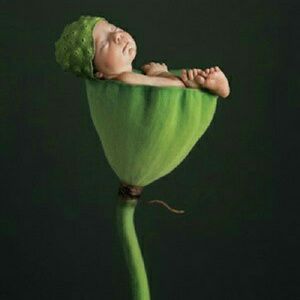 Meet your Posher, Alma