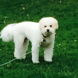 Meet your Posher, Stefanie