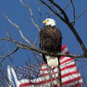 Meet your Posher, Sharon n chris