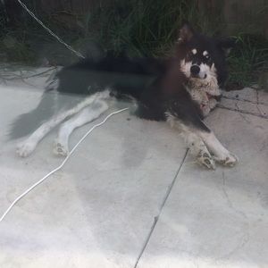 Meet your Posher, Evania