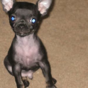 Meet your Posher, Jackie