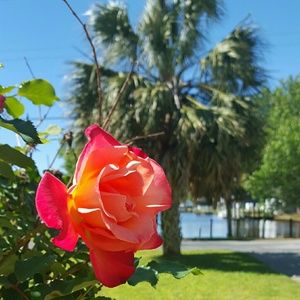 Meet your Posher, Suzanne