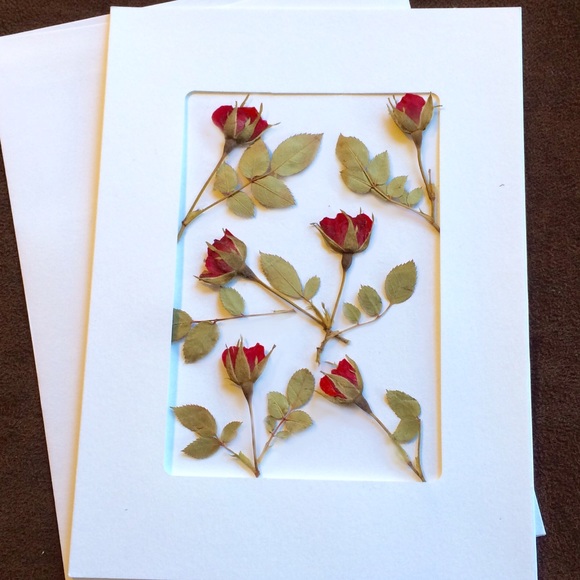 How To Make Cards With Dried Flowers Best Flower Site