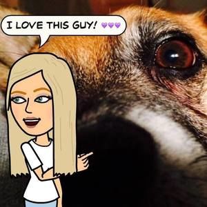 Meet your Posher, Beverly