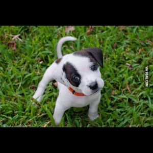 Meet your Posher, Joscelyn