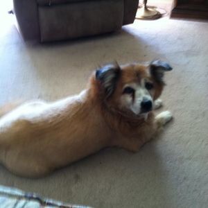 Meet your Posher, Mona