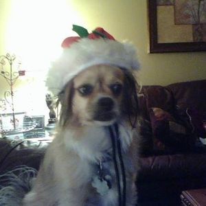 Meet your Posher, Renee