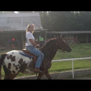 Meet your Posher, Tammy