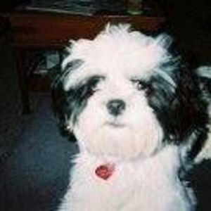 Meet your Posher, Carol