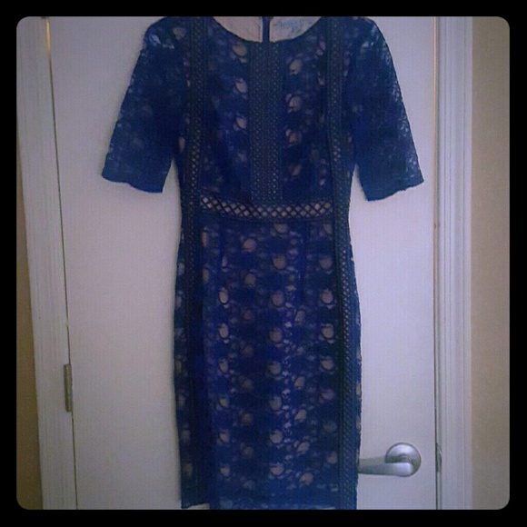 Lacey overlay Antonio Melani Dress