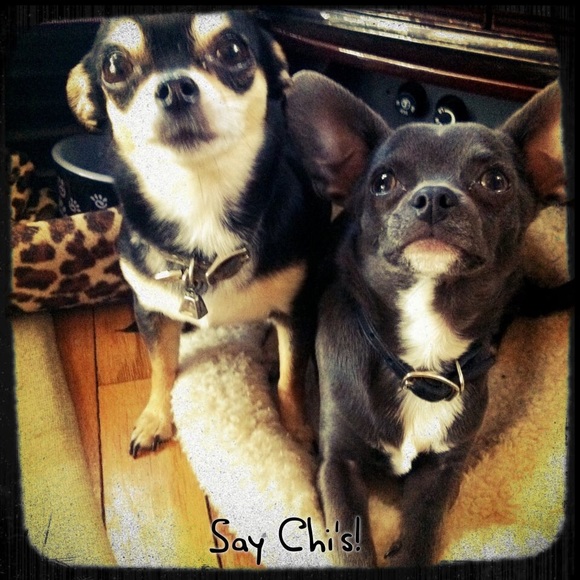 Chi LOVE!
