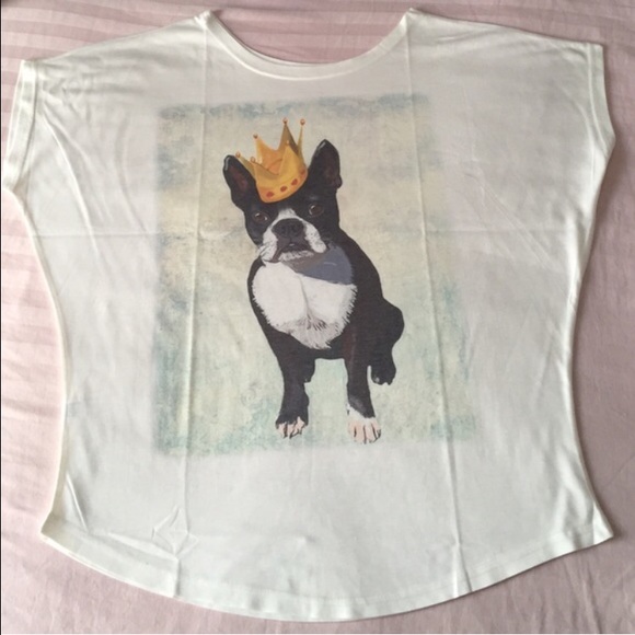 King Terrier - Picture 2 of 3