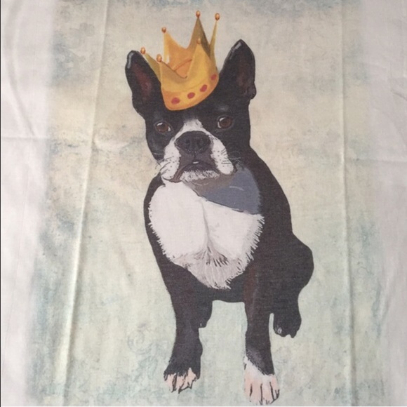 King Terrier - Picture 3 of 3