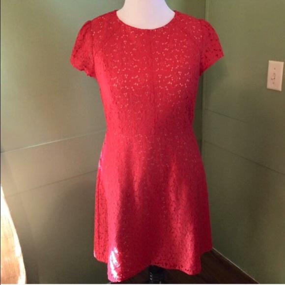 Loft- NY & Co dress bundle