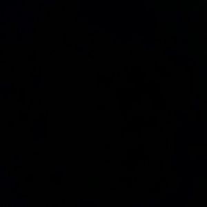 Meet your Posher, Dustin