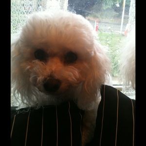 Meet your Posher, Marcela