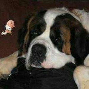 Meet your Posher, Felisha