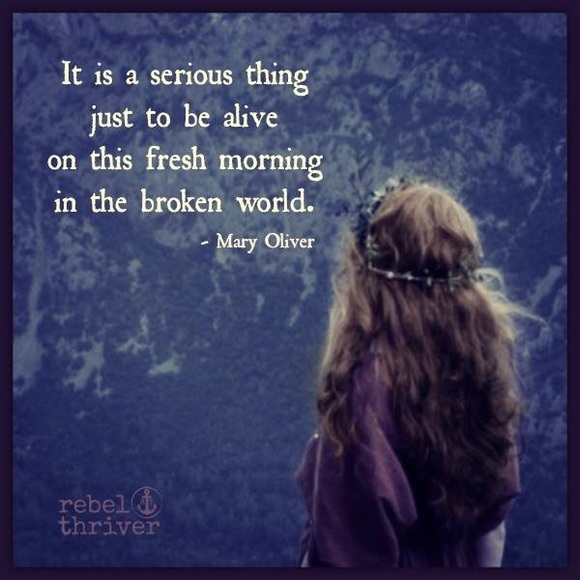 Meet your Posher, Aimee - Picture 4 of 4