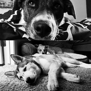 Meet your Posher, Lana