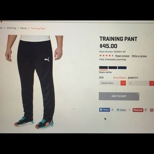 Puma training pant
