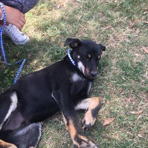 Meet your Posher, Marina