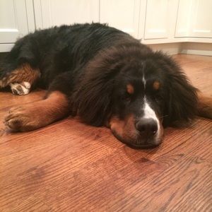 Meet your Posher, Julie