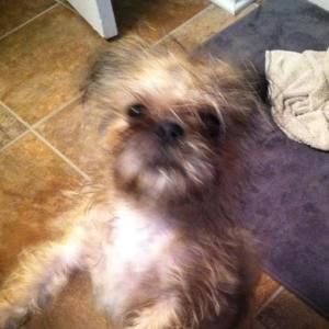 Meet your Posher, Nancy