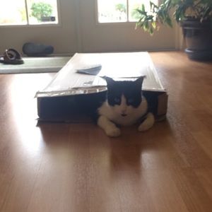 Meet your Posher, Julia