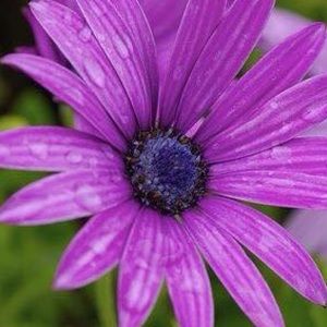 Meet your Posher, Cathy