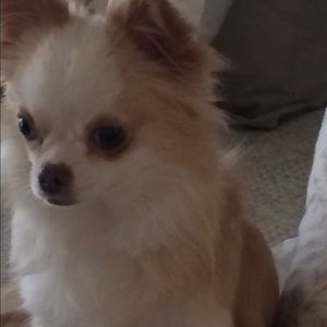 Meet your Posher, Ericka