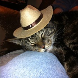 Meet your Posher, Lindy