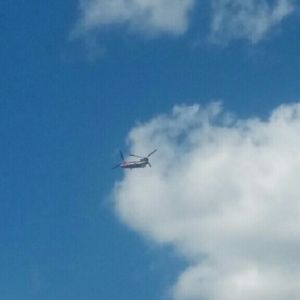 Meet your Posher, Irma