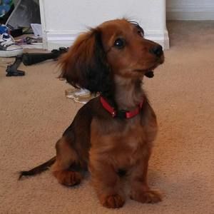 Meet your Posher, Jodi