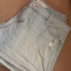 Torrid 22 Shorts