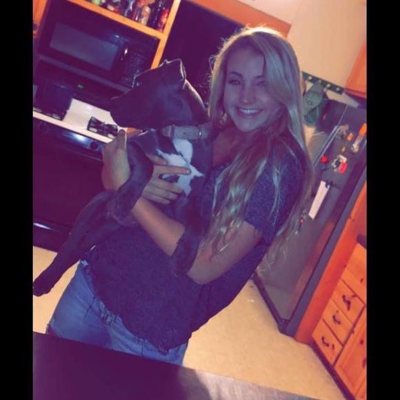 Meet your Posher, Bailey - Picture 1 of 1