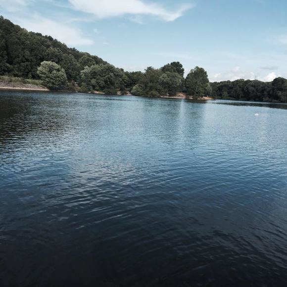 Meet your Posher, Silvia - Picture 1 of 1