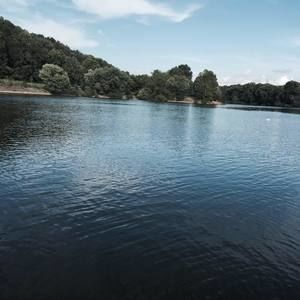 Meet your Posher, Silvia