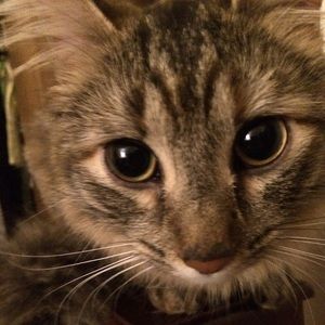 Meet your Posher, Sandy