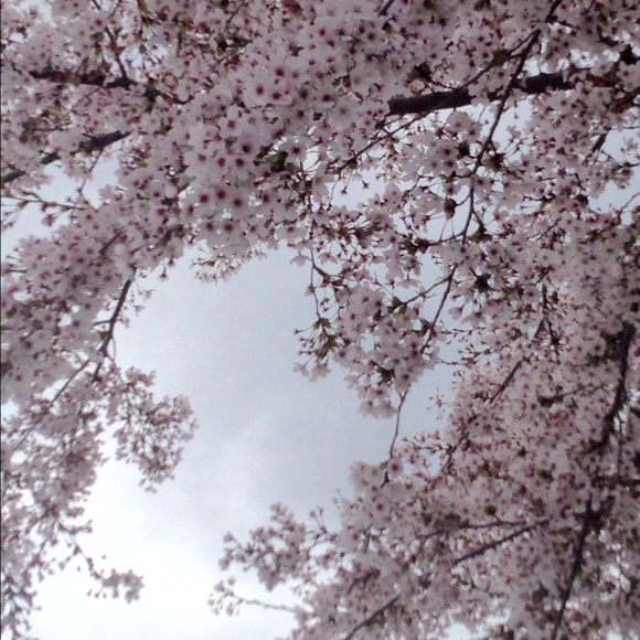 Meet your Posher, Talia