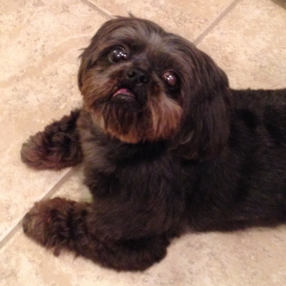 HI THERE💜I'M TILLIE - Picture 7 of 10