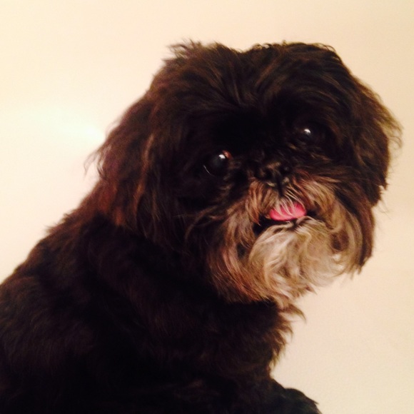 HI THERE💜I'M TILLIE - Picture 3 of 9