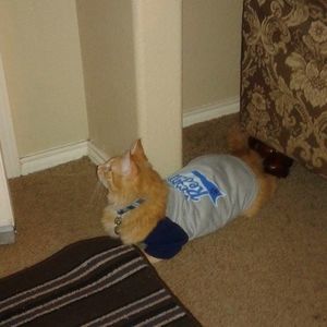 Meet your Posher, Regina