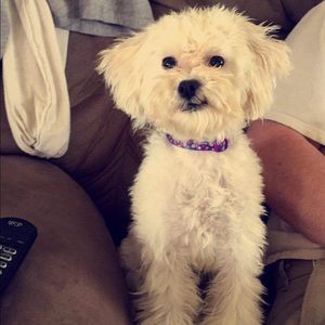 Meet your Posher, Savanna