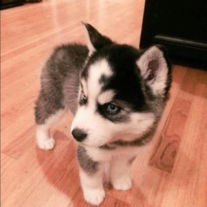 Meet your Posher, Natalia