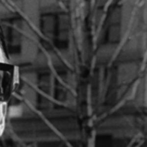 Meet your Posher, Alan