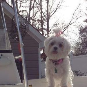 Meet your Posher, Jackie